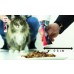 Беафар Мальт Паста для кошек для выведения шерсти из желудка